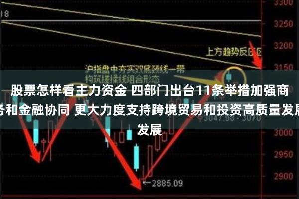 股票怎样看主力资金 四部门出台11条举措加强商务和金融协同 更大力度支持跨境贸易和投资高质量发展