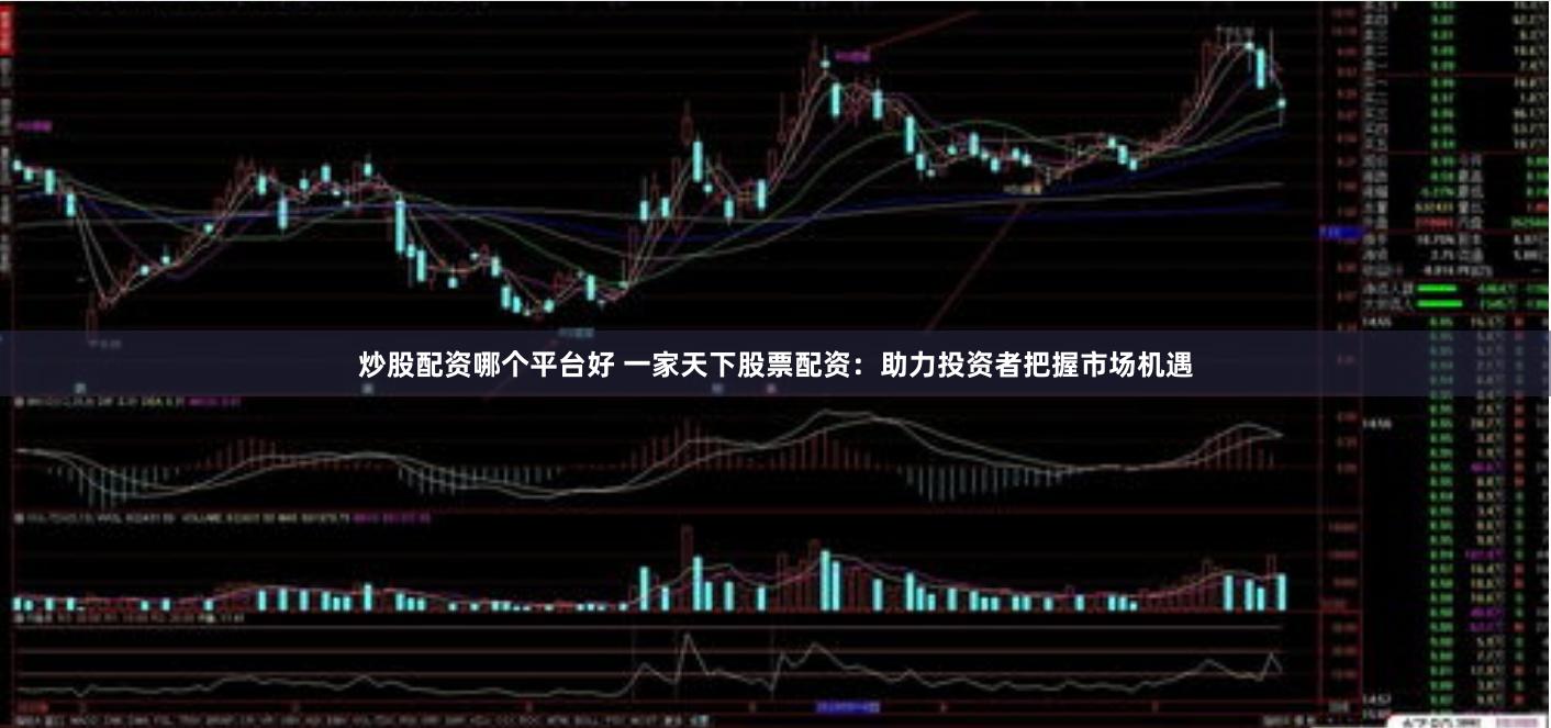 炒股配资哪个平台好 一家天下股票配资：助力投资者把握市场机遇